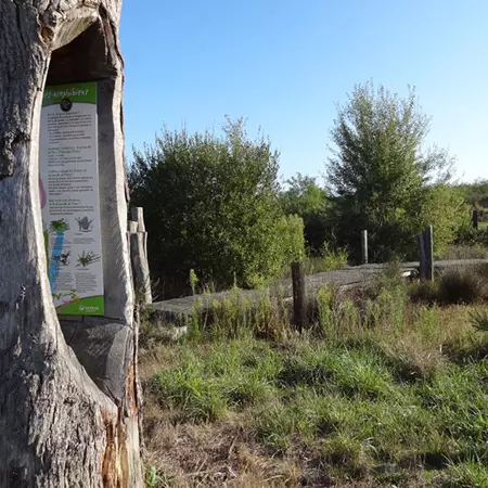 Sentier de Fontenelles