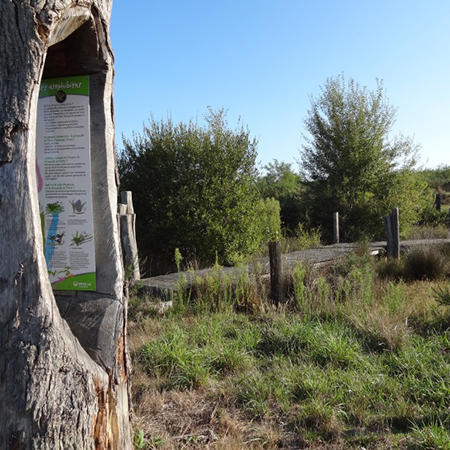 Sentier de Fontenelles